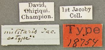 Media type: image; Entomology 18754   Aspect: labels